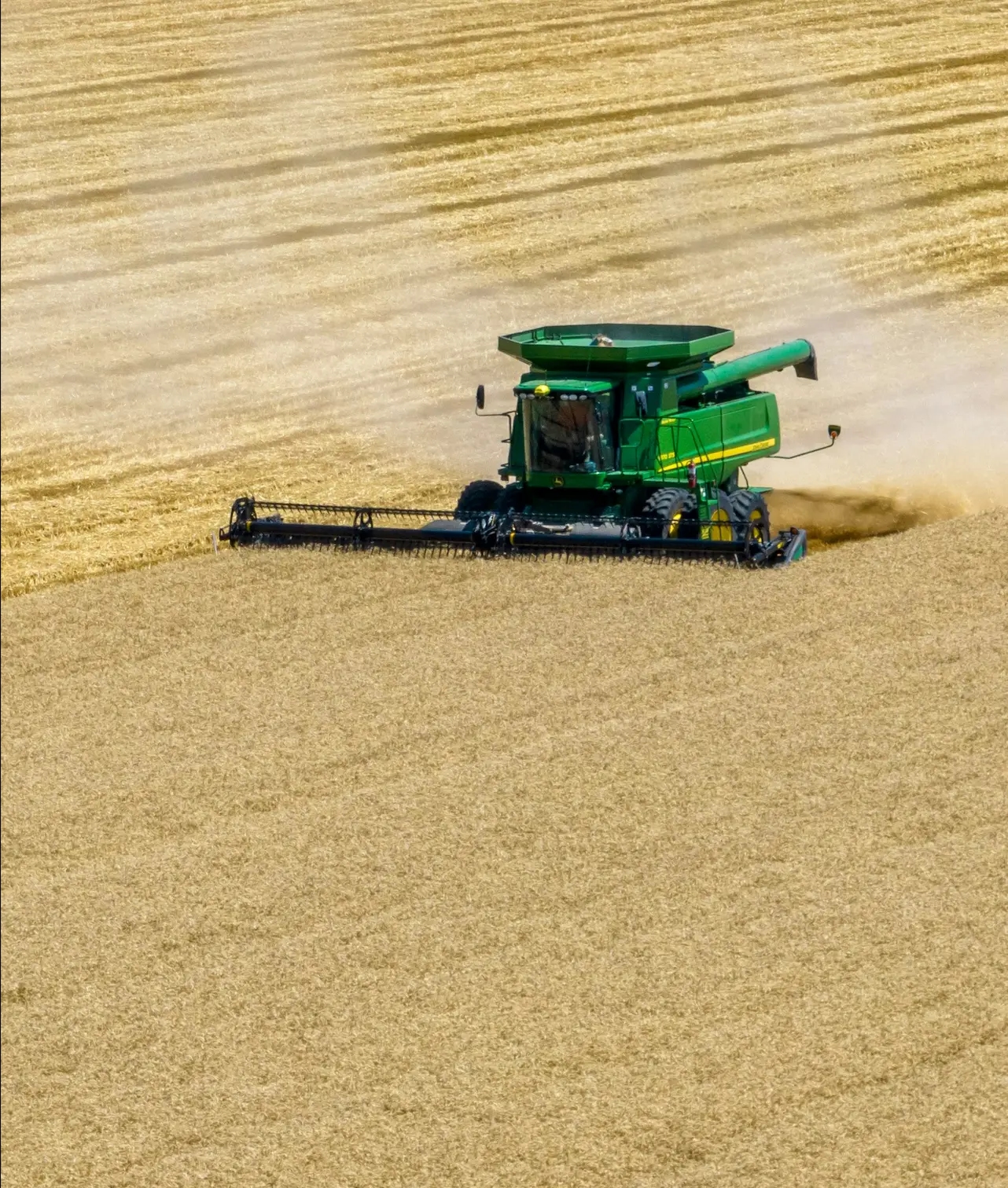 Miragro - National Grain Trade in Hungary