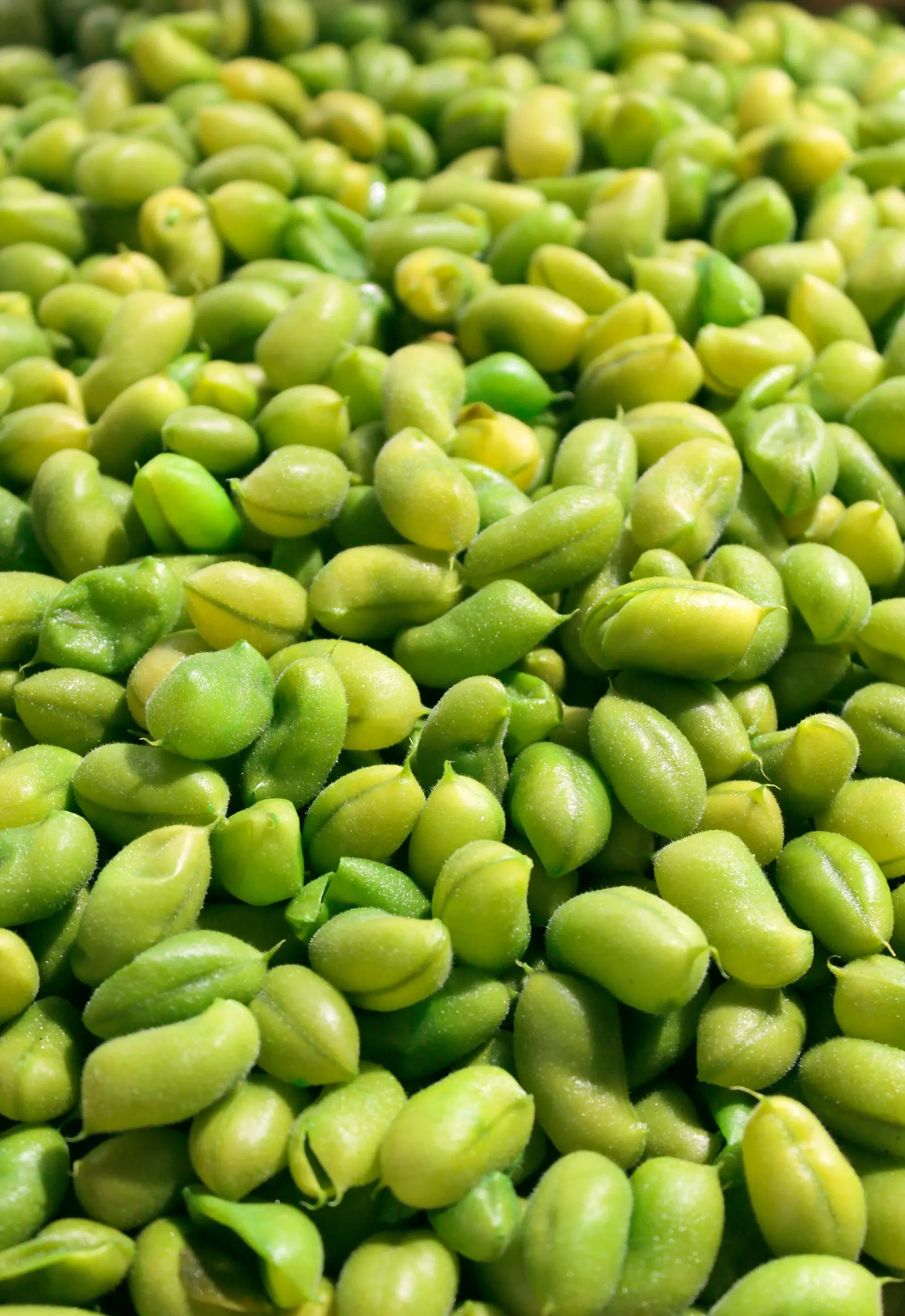 Image of organic crops