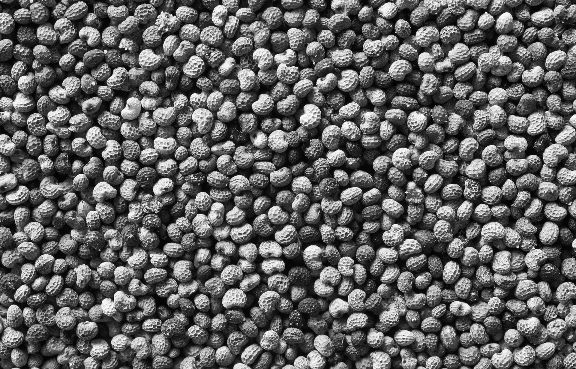Special crops image